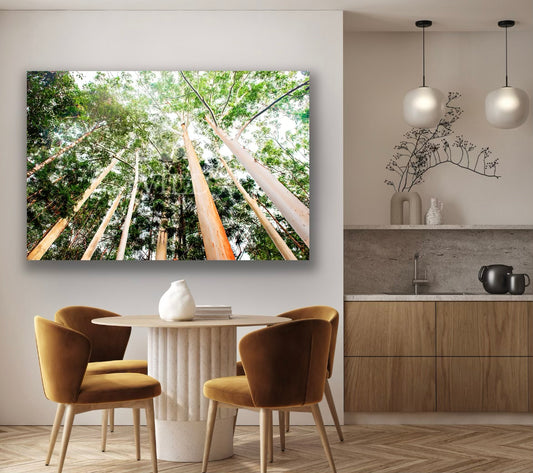 Wall Art - Trees of Llfe